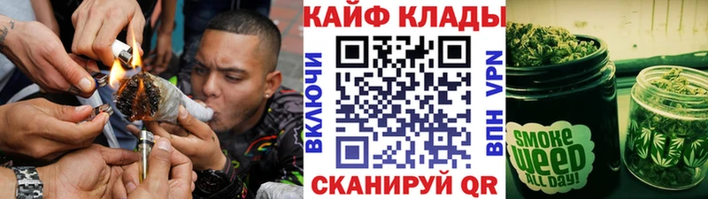 МЕФ Сурск