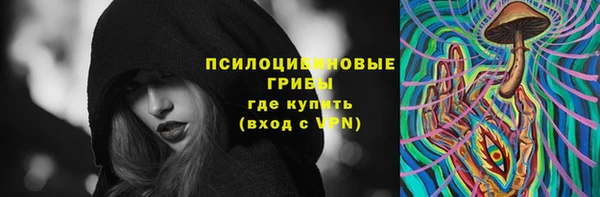 МДПВ Абдулино