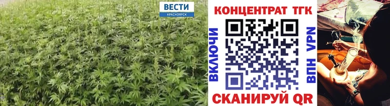 Дистиллят ТГК концентрат  Сурск 