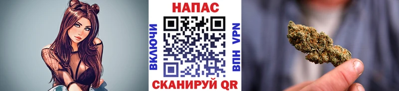 Бошки Шишки сатива Сурск